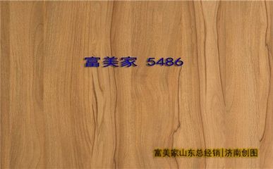 富美家 品質卓越的建筑裝飾材料供應商，引領家居美學新風尚